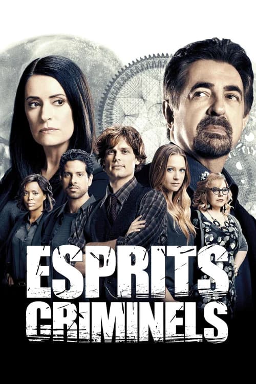Affiche de Esprits criminels